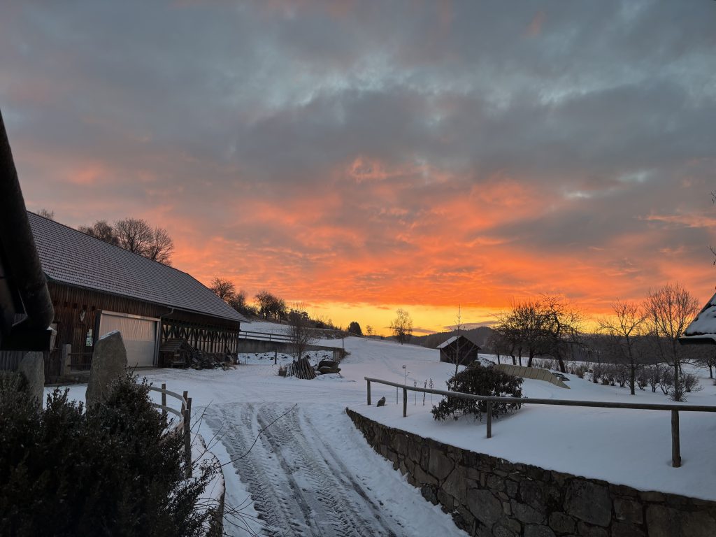Sonnenaufgang am Hof
