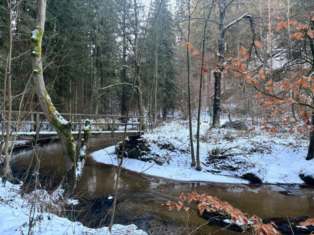 Kleiner Kamp im Winter