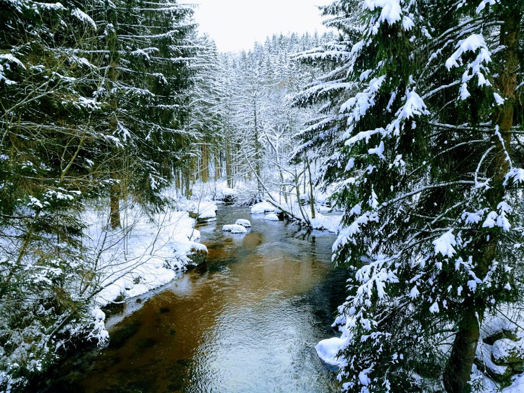Kleiner Kamp im Winter