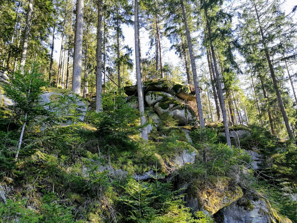 Granitsteine im Wald