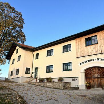 Alpaka Abenteuer