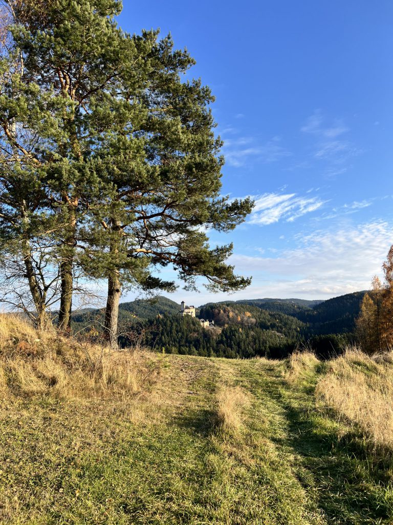 Blick zur Burg Rappottenstein