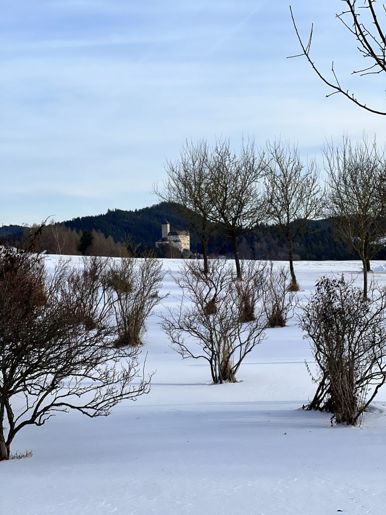 Blick zur Burg Rappottenstein im Winter
